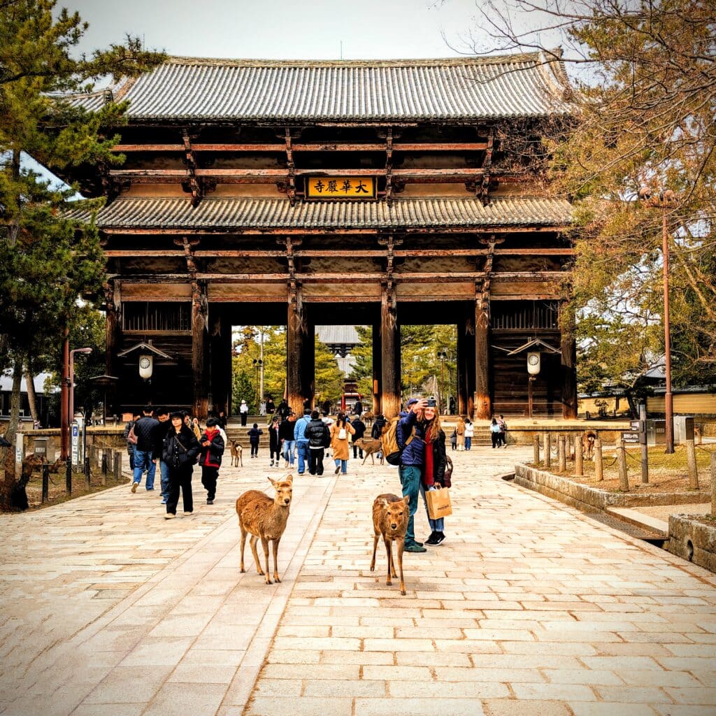 Historic wooden temple gate in Japan with visitors and dogs in the foreground.